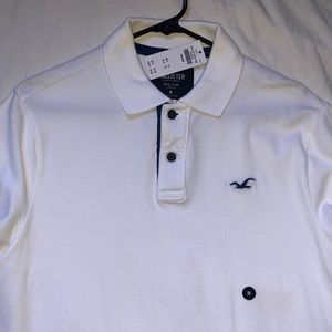 Hollister Polo collection.